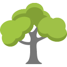 Buford Tree Removal