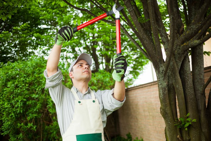 Tree Care Consultancies